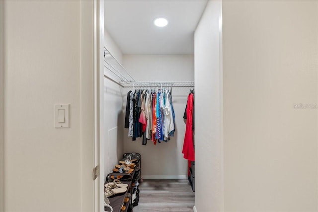 spacious closet with wood-type flooring