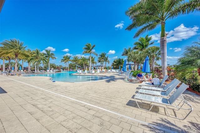 view of pool featuring a patio