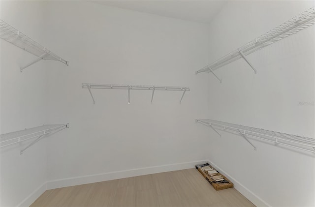 walk in closet with hardwood / wood-style flooring