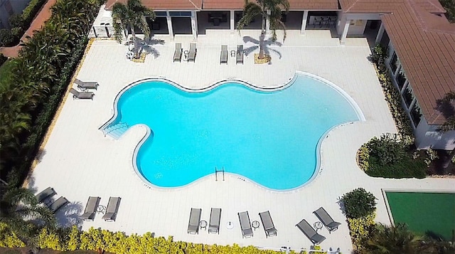 view of swimming pool featuring a patio area