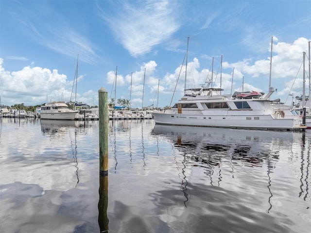 dock area with a water view