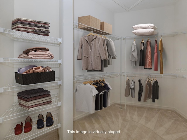 spacious closet with light carpet