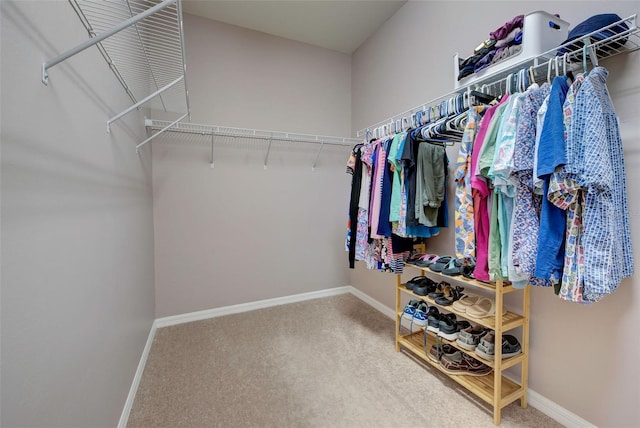 walk in closet with carpet floors