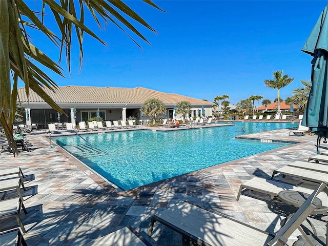 view of pool featuring a patio area