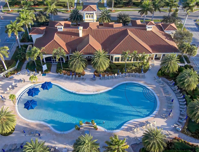 view of swimming pool with a patio