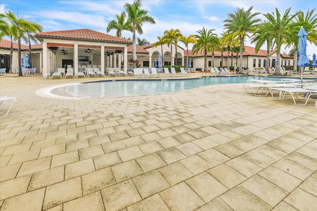 view of swimming pool with a patio area and ceiling fan