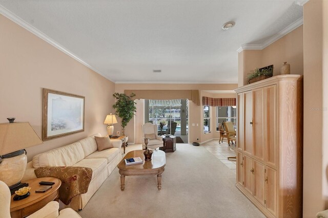 carpeted living room with crown molding