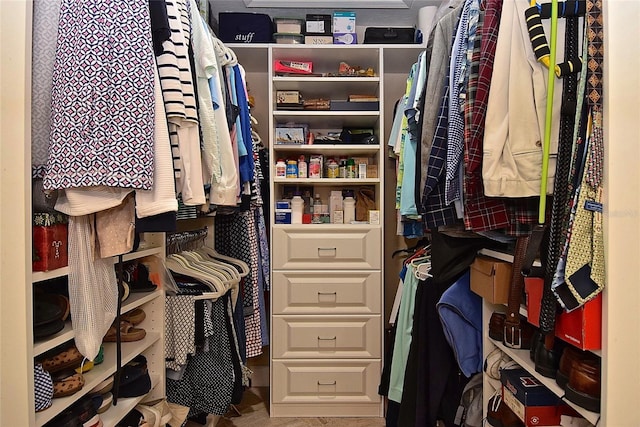 view of spacious closet