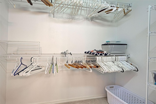 spacious closet with carpet floors