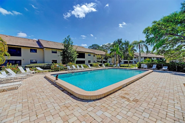 view of pool with a patio