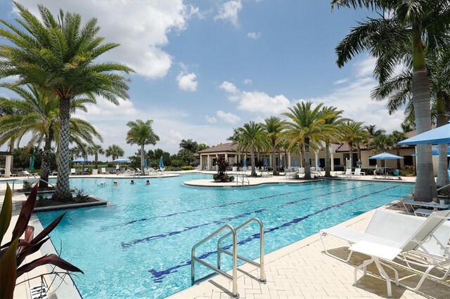 view of pool with a patio area