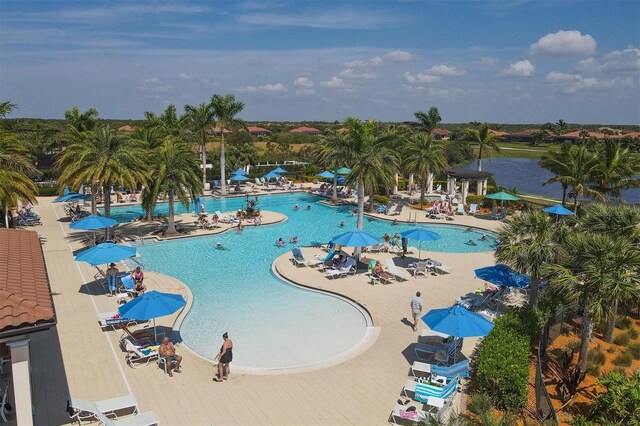 view of swimming pool with a patio