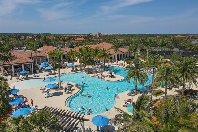 view of pool featuring a patio area