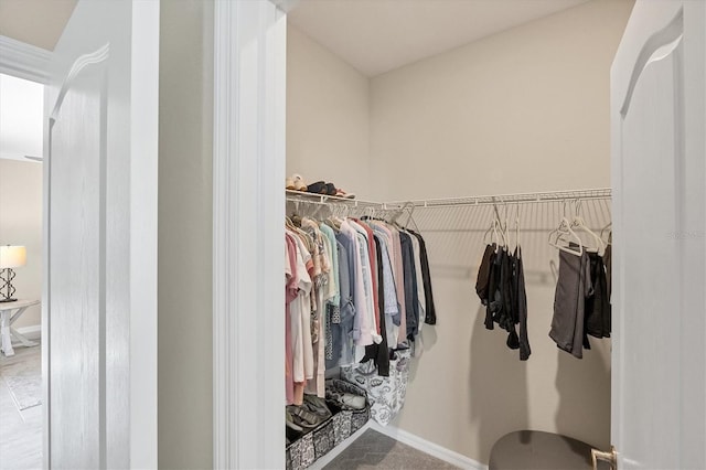 view of walk in closet