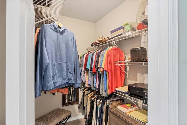 view of walk in closet