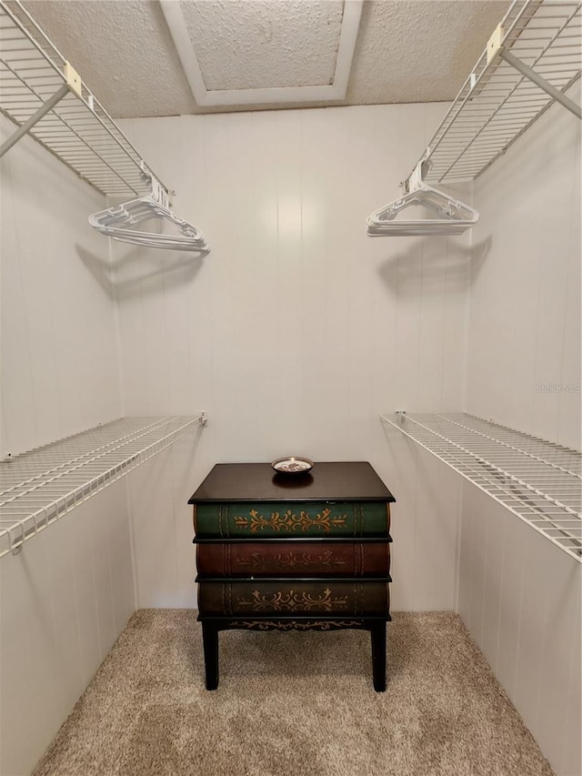 walk in closet featuring light colored carpet