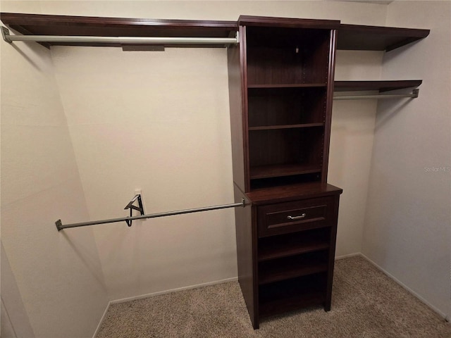 walk in closet with carpet flooring