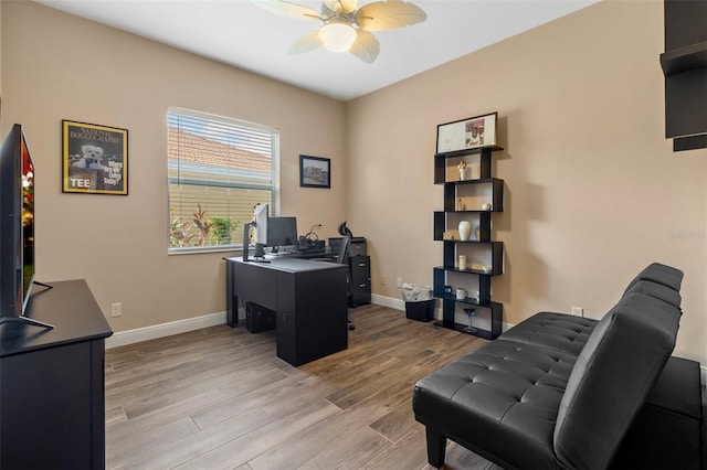 office space with light hardwood / wood-style floors and ceiling fan