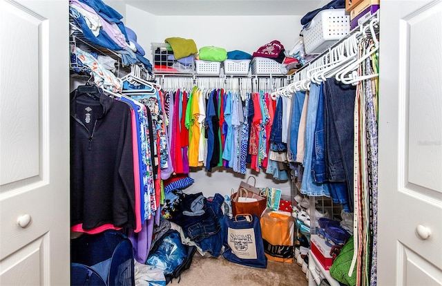 walk in closet featuring carpet floors