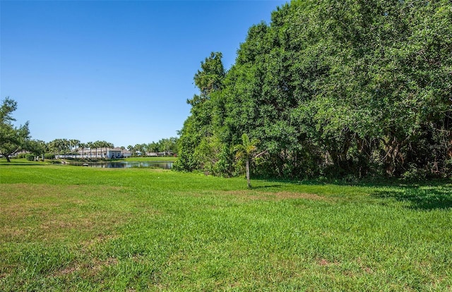 view of yard with a water view
