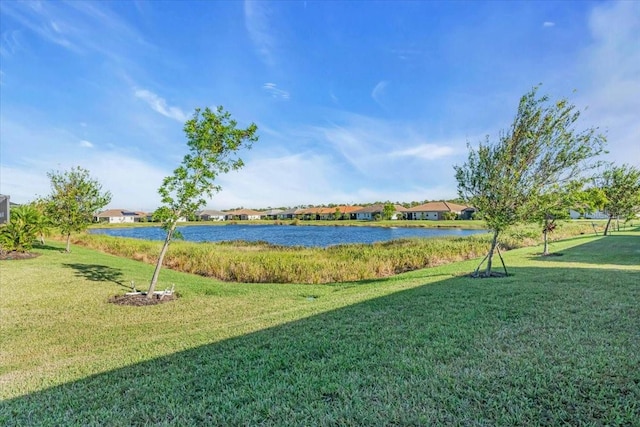 view of yard with a water view