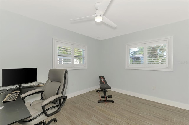 office space featuring ceiling fan, light hardwood / wood-style floors, and a wealth of natural light