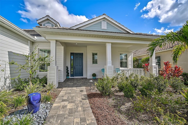 entrance to property featuring covered porch