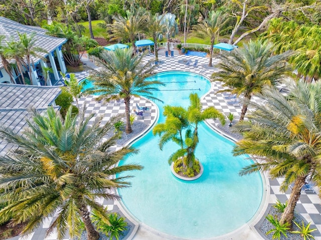 view of pool featuring a patio area