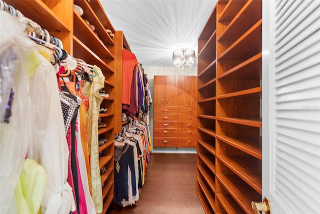 walk in closet with dark wood-type flooring and a notable chandelier