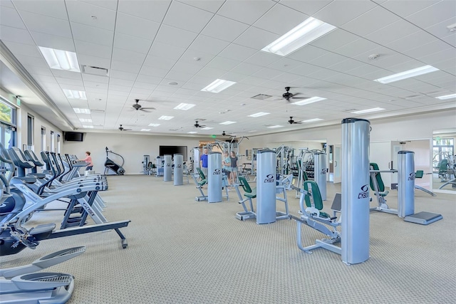 gym featuring a paneled ceiling and light colored carpet