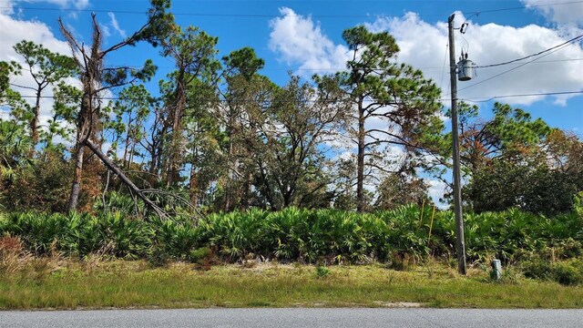 LOT30 Sunnyvale Rd, North Port, FL 34288 - photo 5
