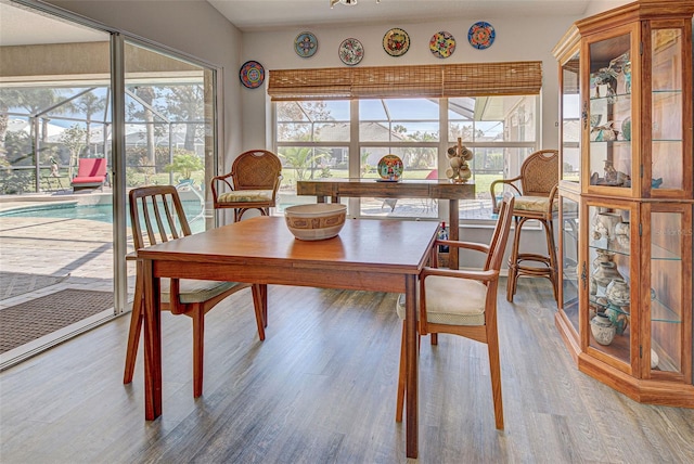 dining area featuring hardwood / wood-style flooring and plenty of natural light