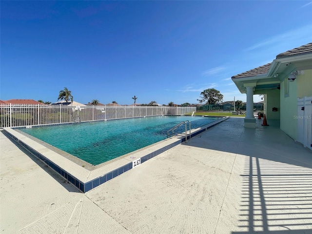 view of pool featuring a patio