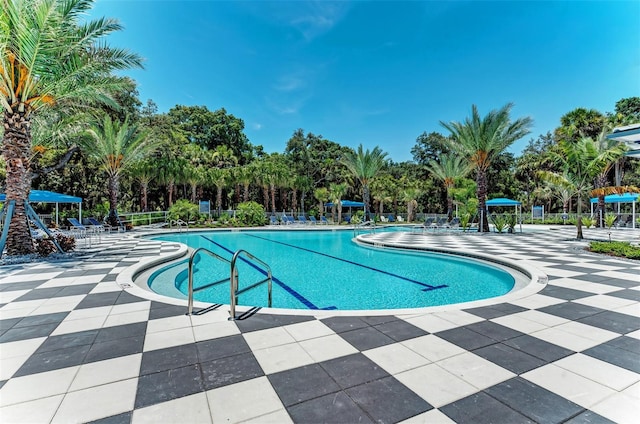 view of pool with a patio area