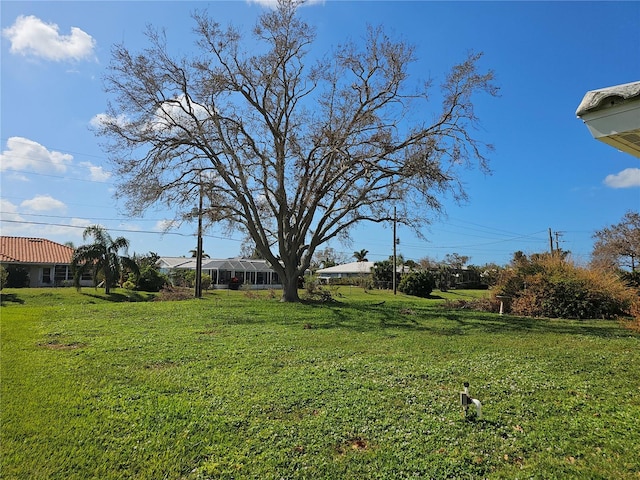 view of yard