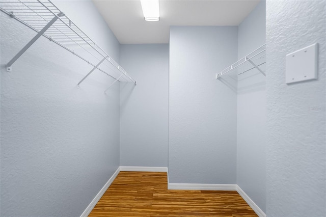 walk in closet featuring hardwood / wood-style floors