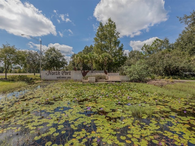 5650 Mashie Cir, North Port, FL 34287 - view of yard