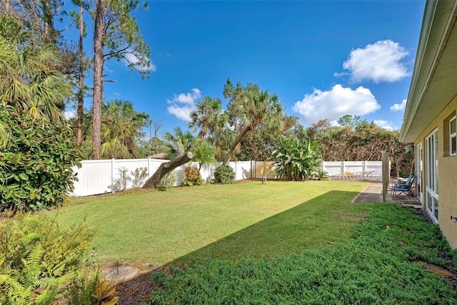 view of yard featuring a patio area