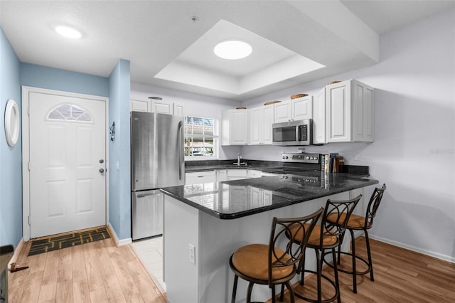 kitchen featuring appliances with stainless steel finishes, kitchen peninsula, and light hardwood / wood-style floors