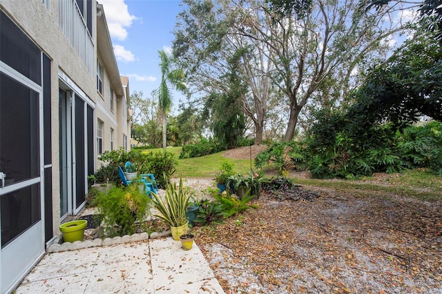 view of yard featuring a patio area