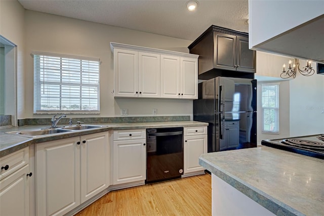 kitchen with plenty of natural light, white cabinets, black appliances, and light hardwood / wood-style flooring