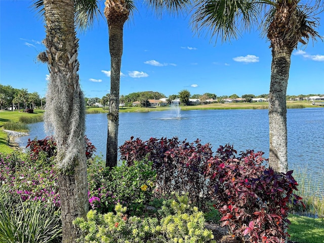 view of water feature