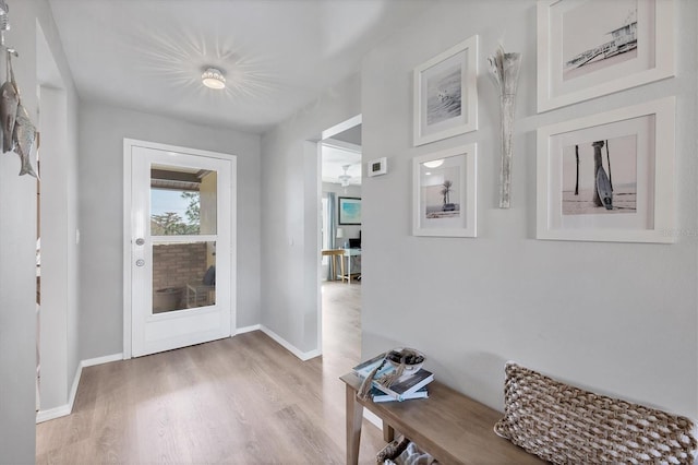 foyer entrance with wood-type flooring