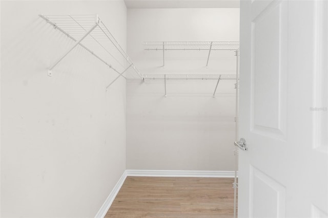 spacious closet with wood-type flooring