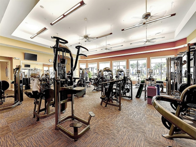 exercise room with a raised ceiling and carpet