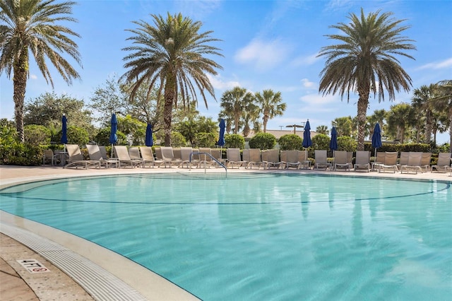 view of swimming pool featuring a patio