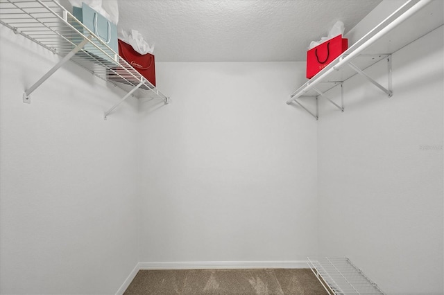 walk in closet with carpet floors