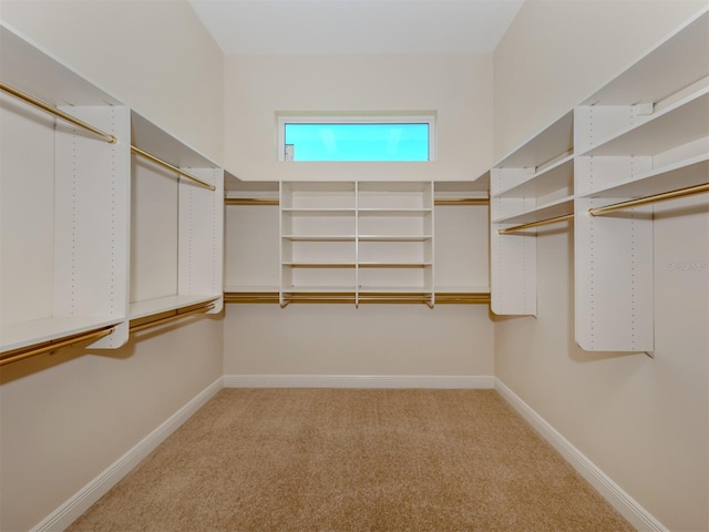 walk in closet featuring carpet floors