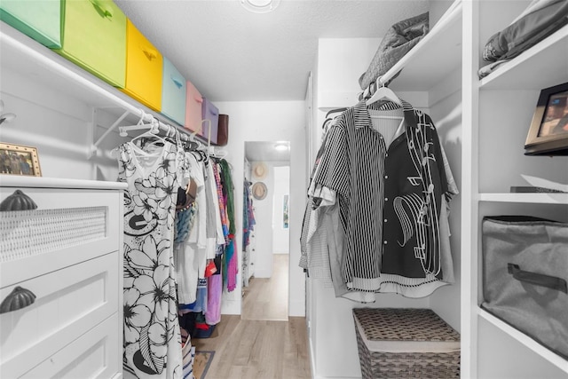 walk in closet with hardwood / wood-style flooring