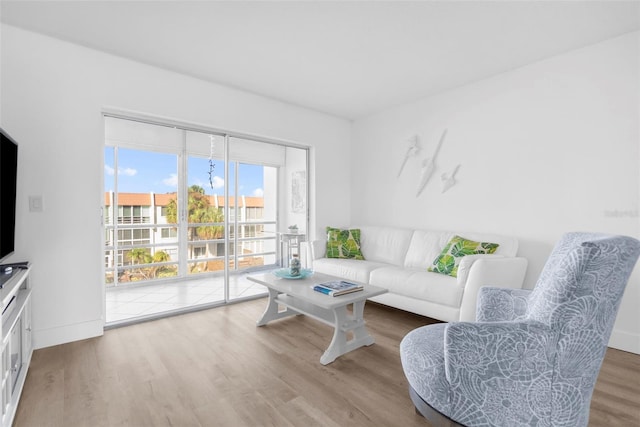 living room with hardwood / wood-style flooring